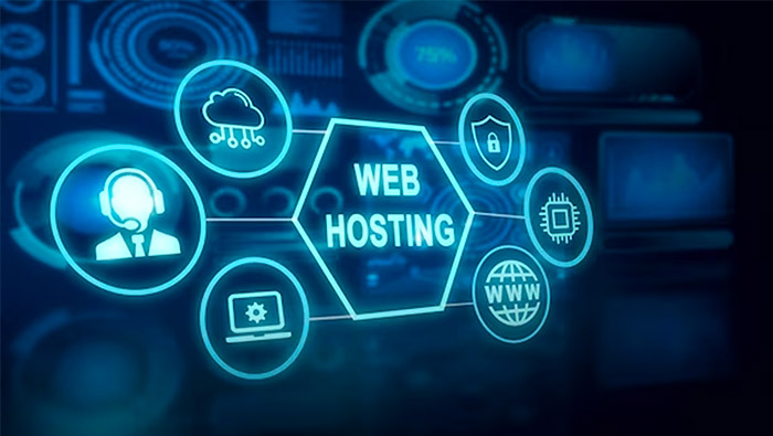 Web Hosting and Domain Management